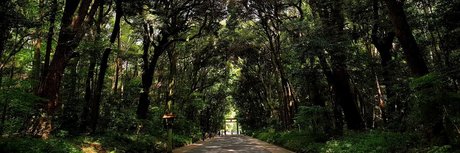 Ryuzaki_ high quality actress pic