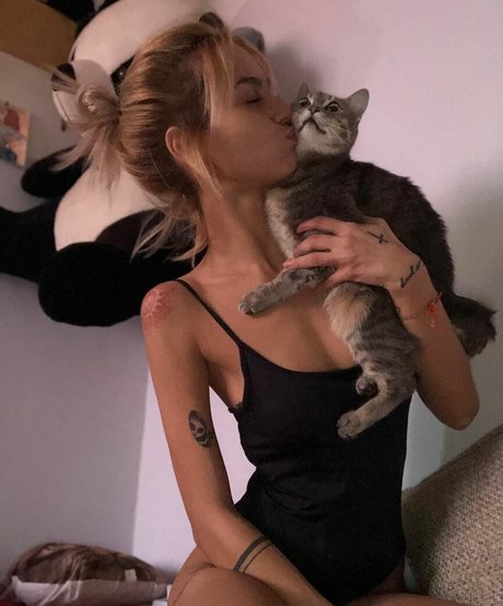 axalrnaed pornstar archive