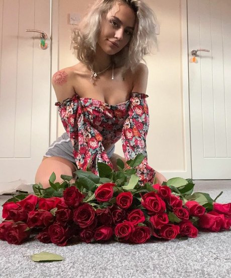 axalrnaed star best photos