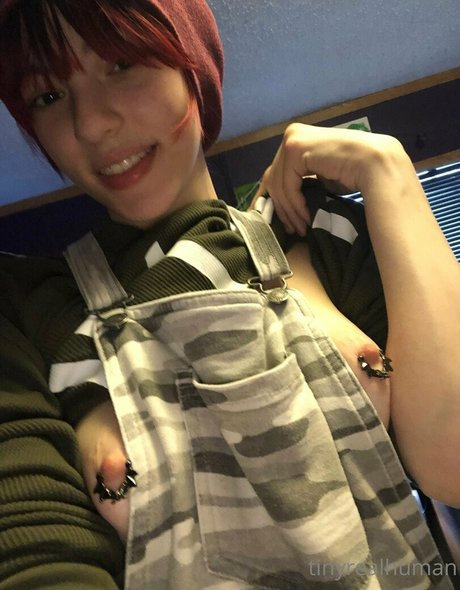 tinyrealmoth top star archive