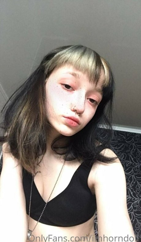 imhorndoll star high quality galleries