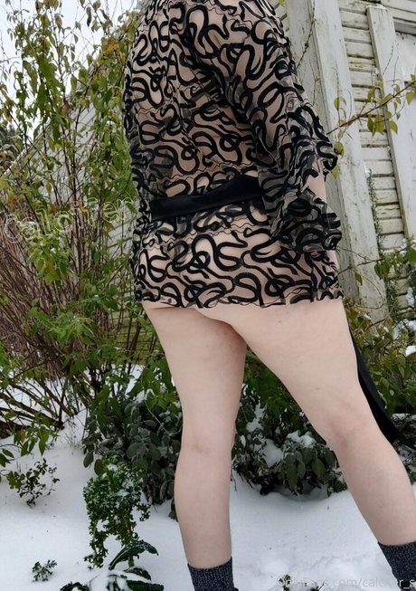 calcifer s pretty star img