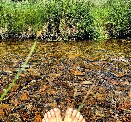 Mariel Hemingway pornographic model image