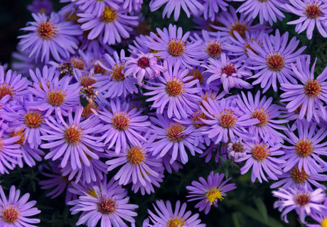 u37365736 nude star image