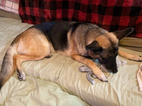 Sassy Jassy model nudes img