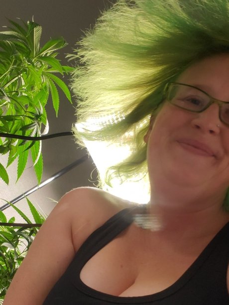 Sapphire Nicci pornstar perfect image