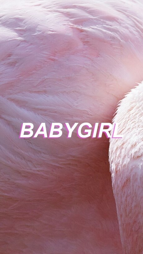 SanDan10 pornstar adult photo