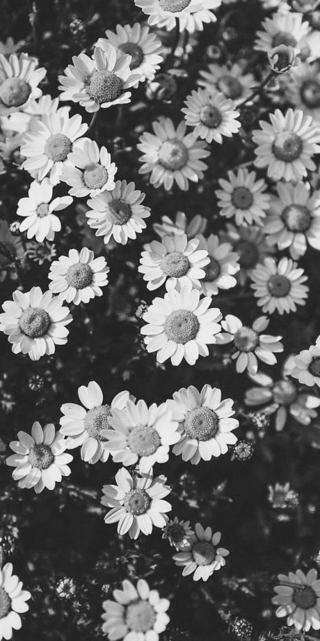 Sam Noskow perfect actress galleries