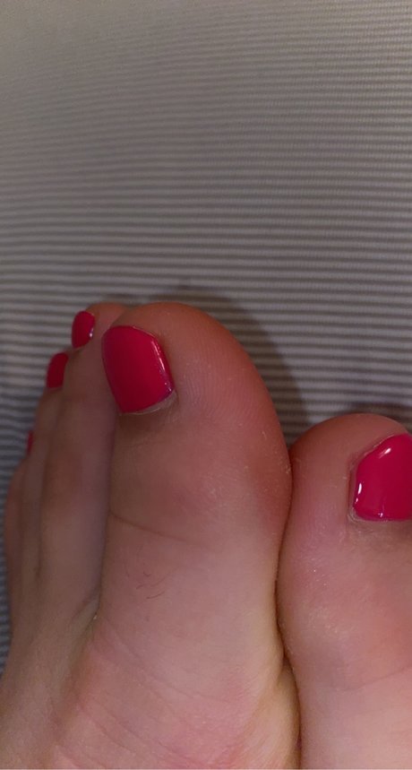 Piggies on the market high quality model picture