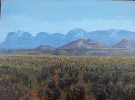 St Pete Kilted Painter model xxx image