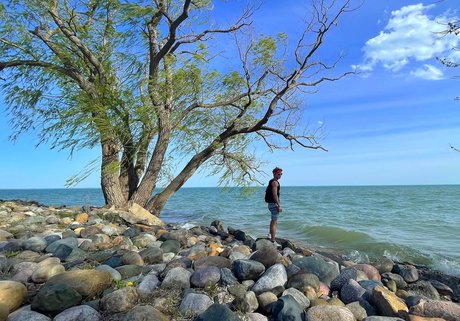 BoyToy R star exclusive gallery