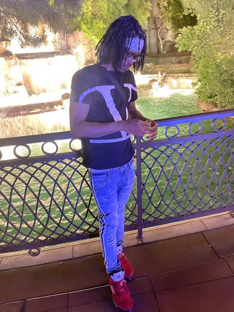 XStiltzx best model archive