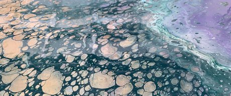 scarletash hd star pic