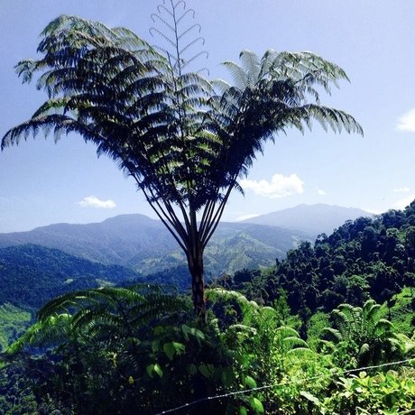 savibaby adult star pictures