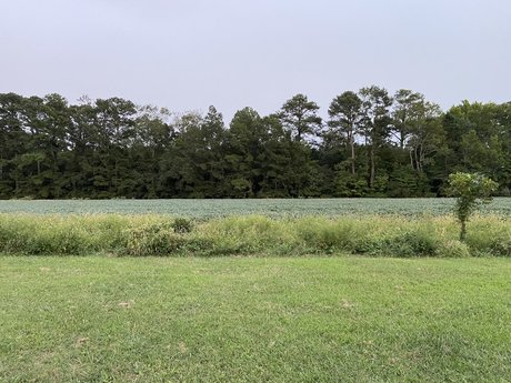 Savannah Rex adult model pic