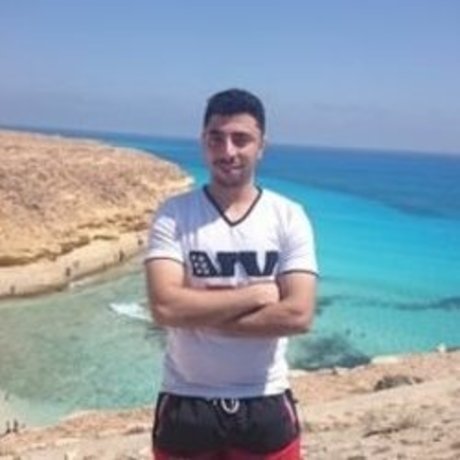 Eng sabry star top gallery