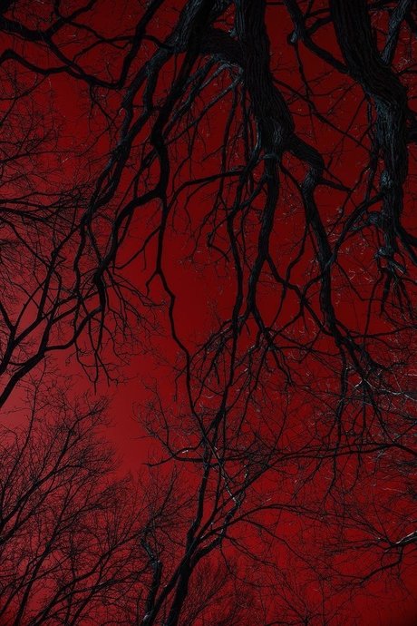 Shay len Skies nice actress pictures