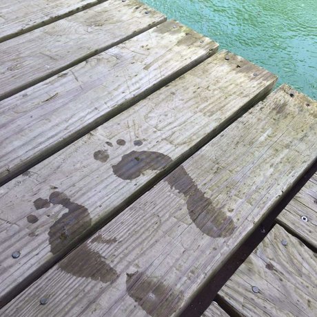 Miss Piggy s_ sexy model pic