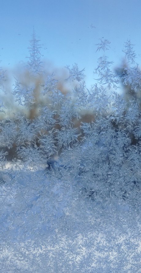 Miss Mallory high quality star img