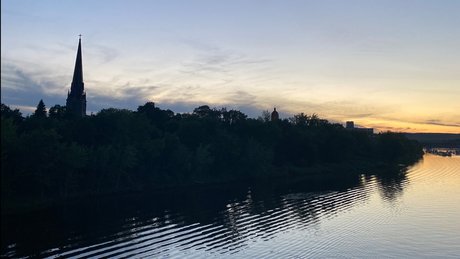 The East Coast Pup best model photo