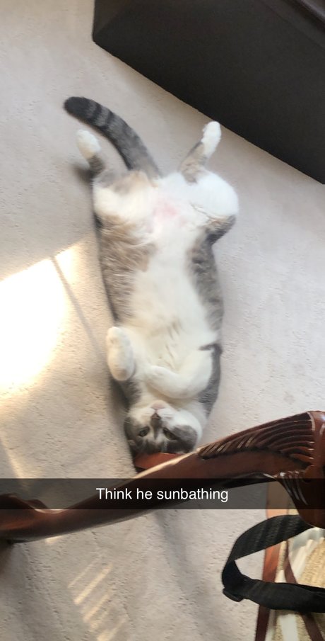 Yo Boi pornstar sexy archive