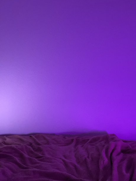 TheLittlePrince pornstar perfect image