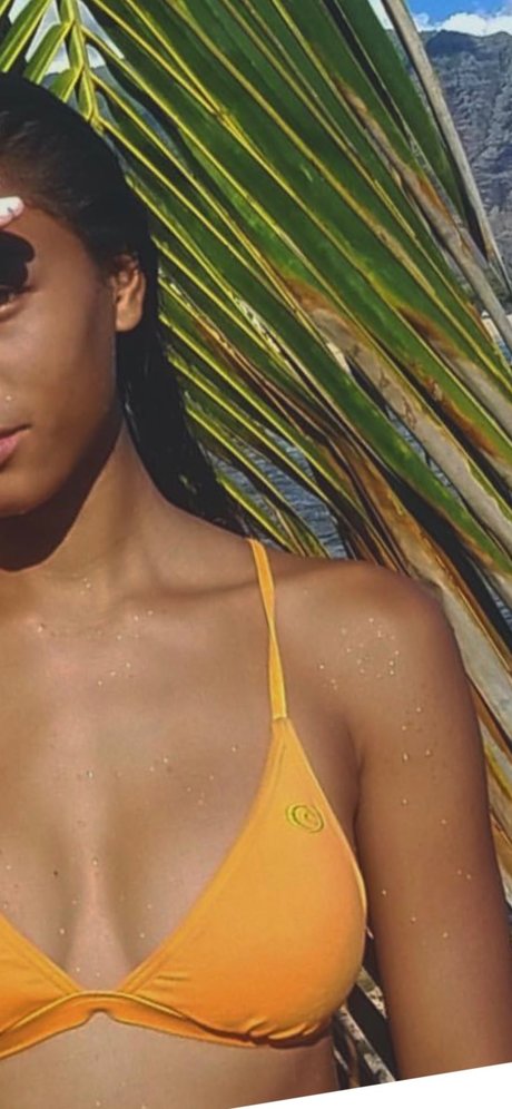 Viv_ high quality model archive