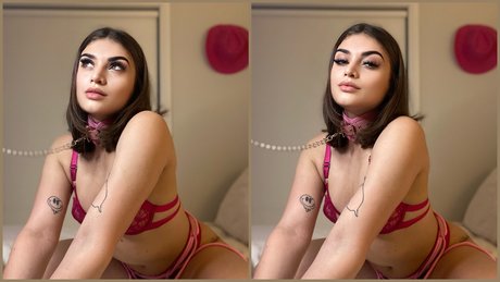 Tay xx pornstar pics