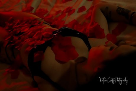 Taylor bailey sexy pornstar archive