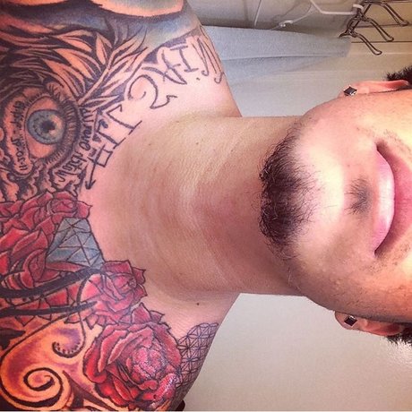 LSDan model pretty picture