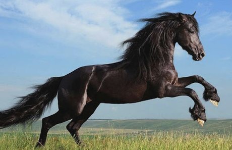 lillliiillllii pretty actress pictures