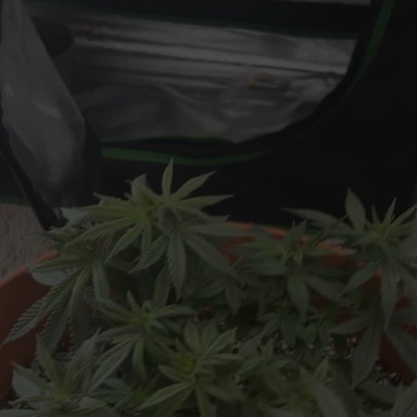 _rgr r_ model erotic pictures