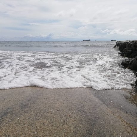 Celeste Traviesa xxx actress image