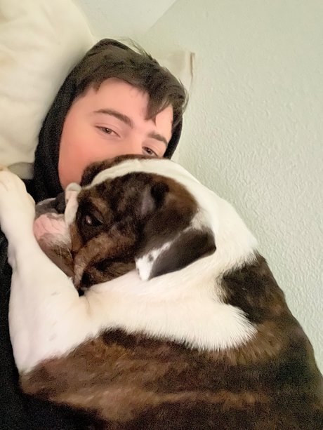 amorux star nice archive