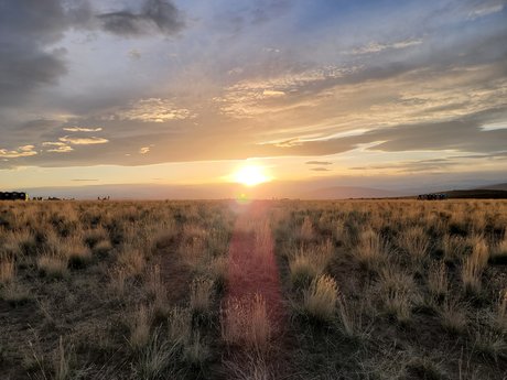 Fusionho model sexy gallery