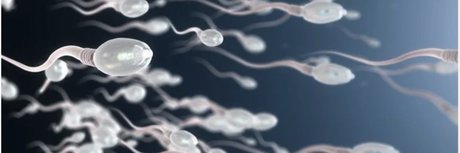 BBK TOP in PARIS pornstar top picture