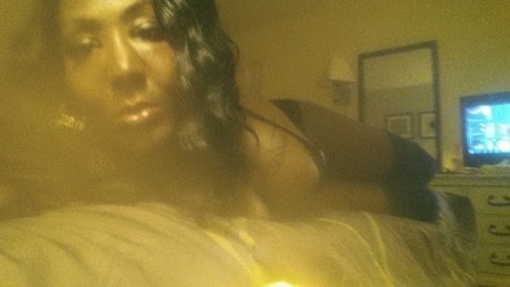 MsTsCoco model galleries