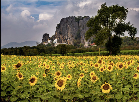 Elizabeth Faith pornstar hd photos