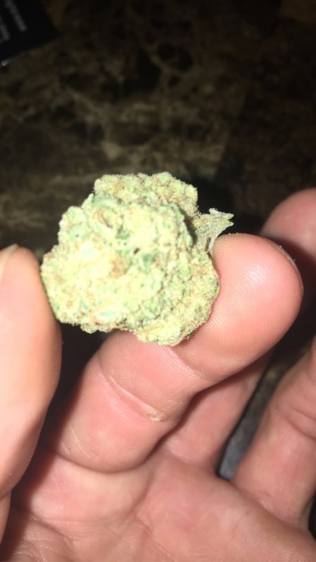 Chief E star exclusive photos