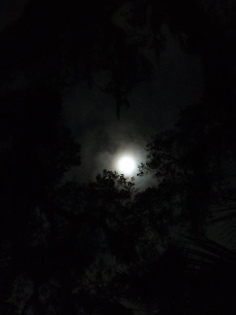 Skolomend nice actress pics