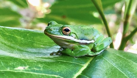 naveltrailblazer3 star pornographic pics