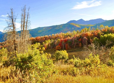 naveltrailblazer3 nice star img