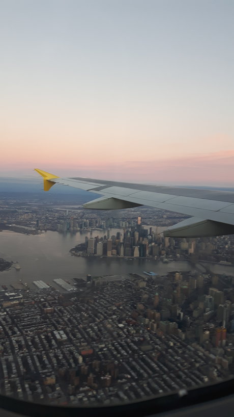 Otter Pup star xxx img