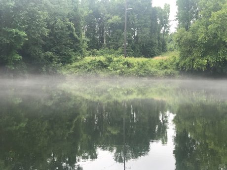 FrankieFFuxxx top star pictures