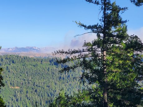 SmkinSexy hot actress gallery