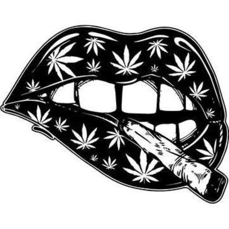 smartmouth prettyface beautiful star galleries