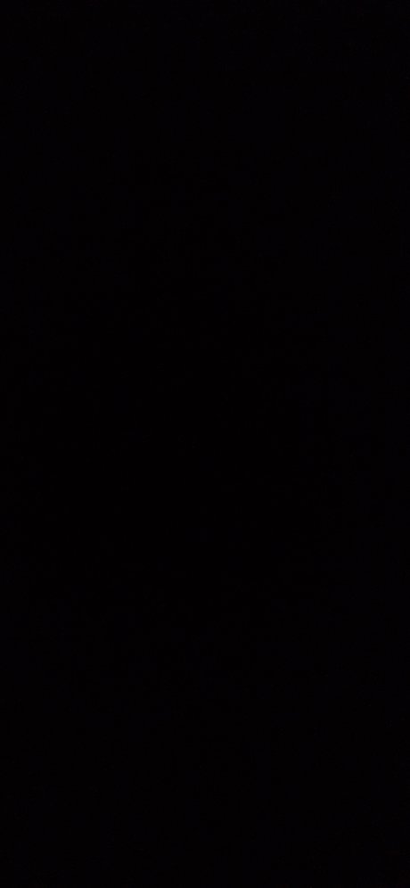 Papi Gato pornstar nude images