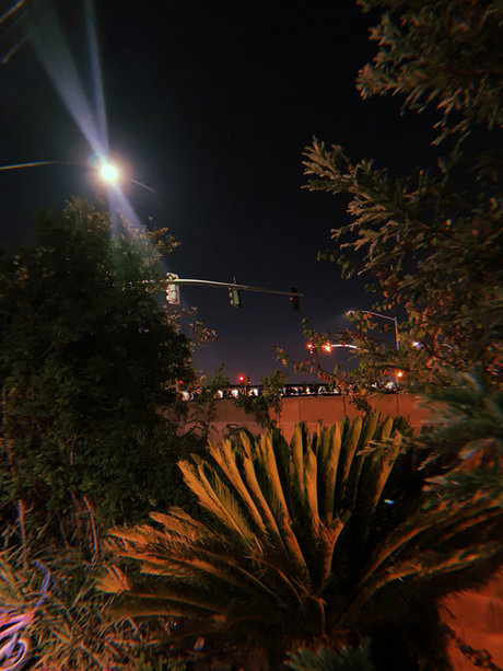 life uck_ star sex img