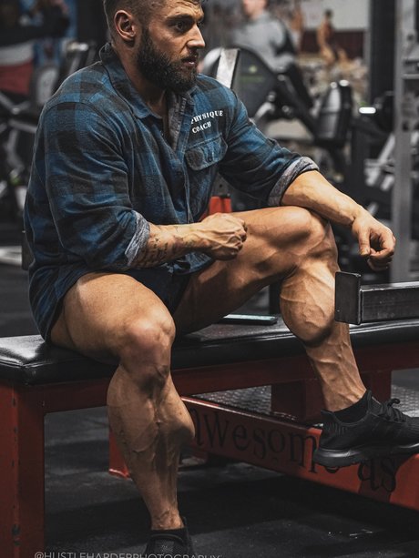 King Calves_ pornstar hd photo