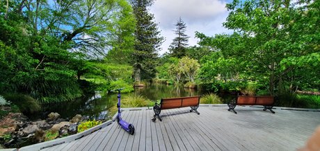 parasiteonwheels model top picture